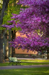 City of Pärnu/ Photo by Kristi Kuusmik-Orav