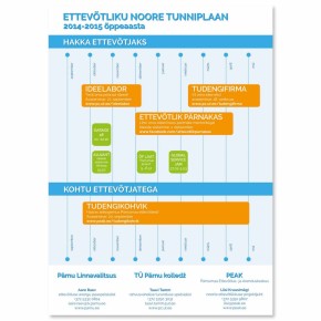 Ettevõtlik noor